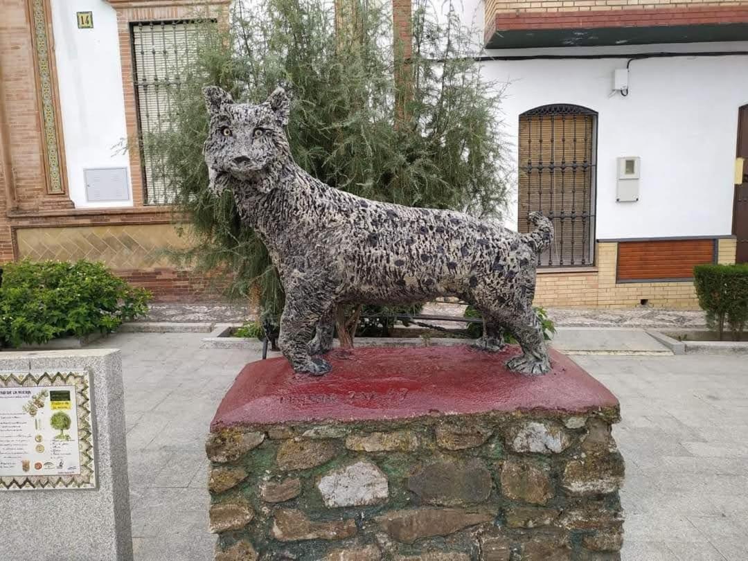 Alojamiento Rural An Ca La Abuela Pilar El Real de la Jara Zewnętrze zdjęcie